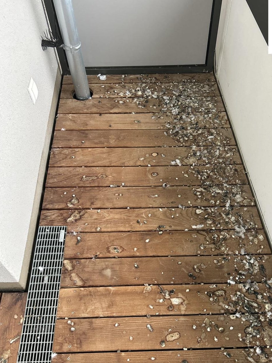 Holzbalkon mit Vogeldreck